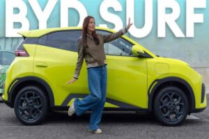 dolphin surf byd