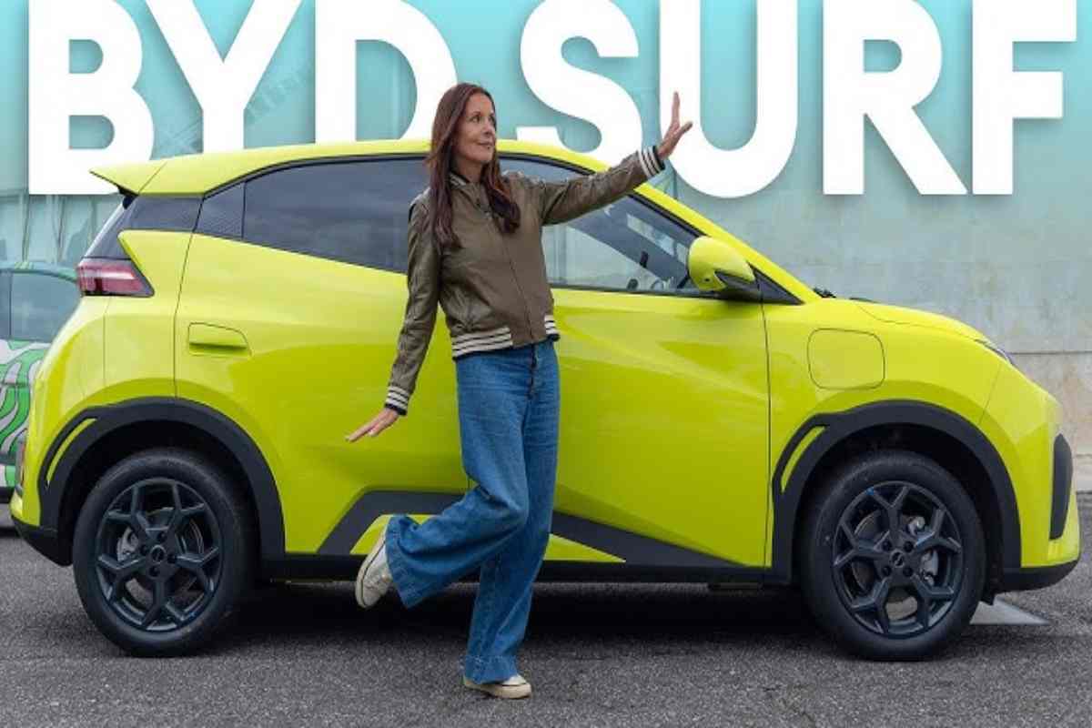 dolphin surf byd