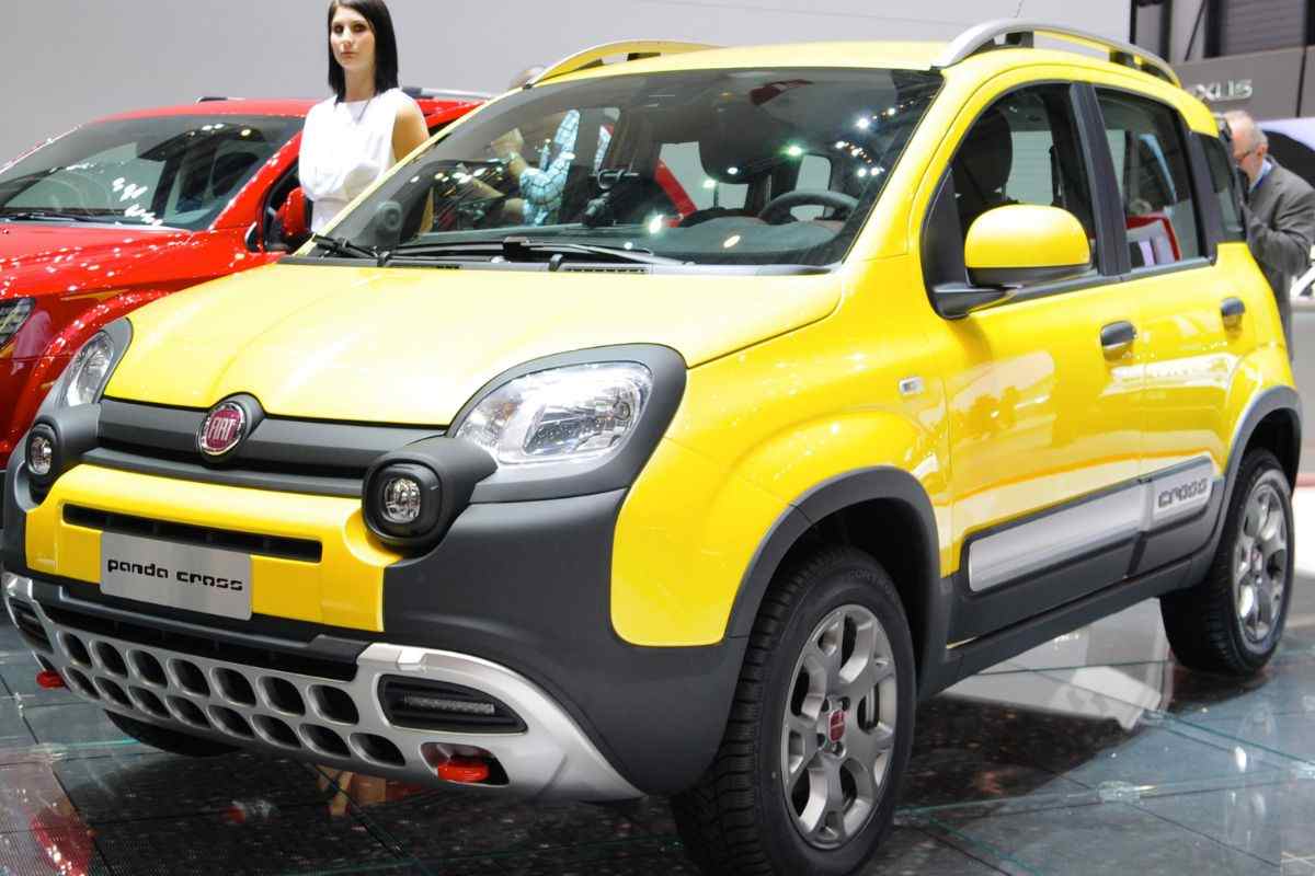 La Panda Cross in esposizione